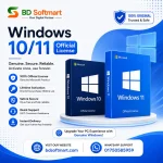 Windows 10/11 Official License